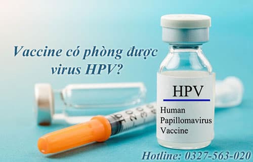 Vaccine có phòng được virus HPV không?